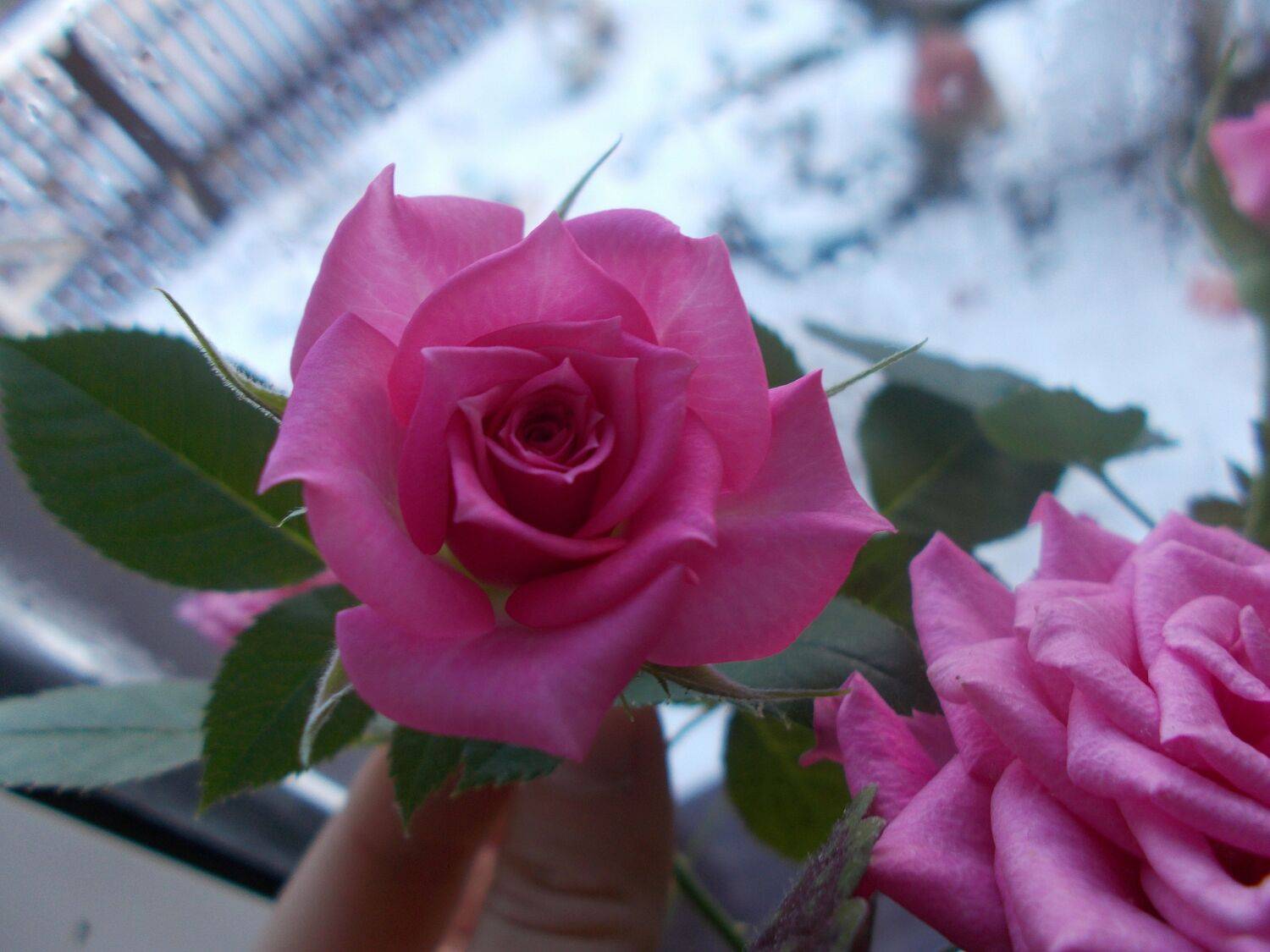 Photo #6864114