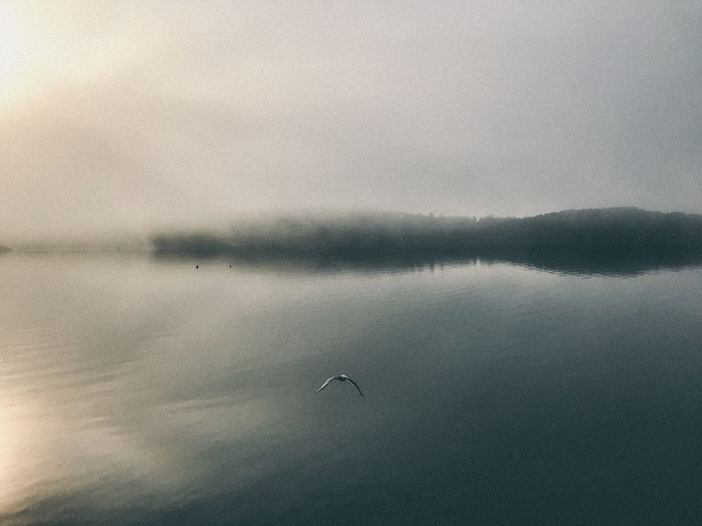 Photograph by Сергей Селюченко