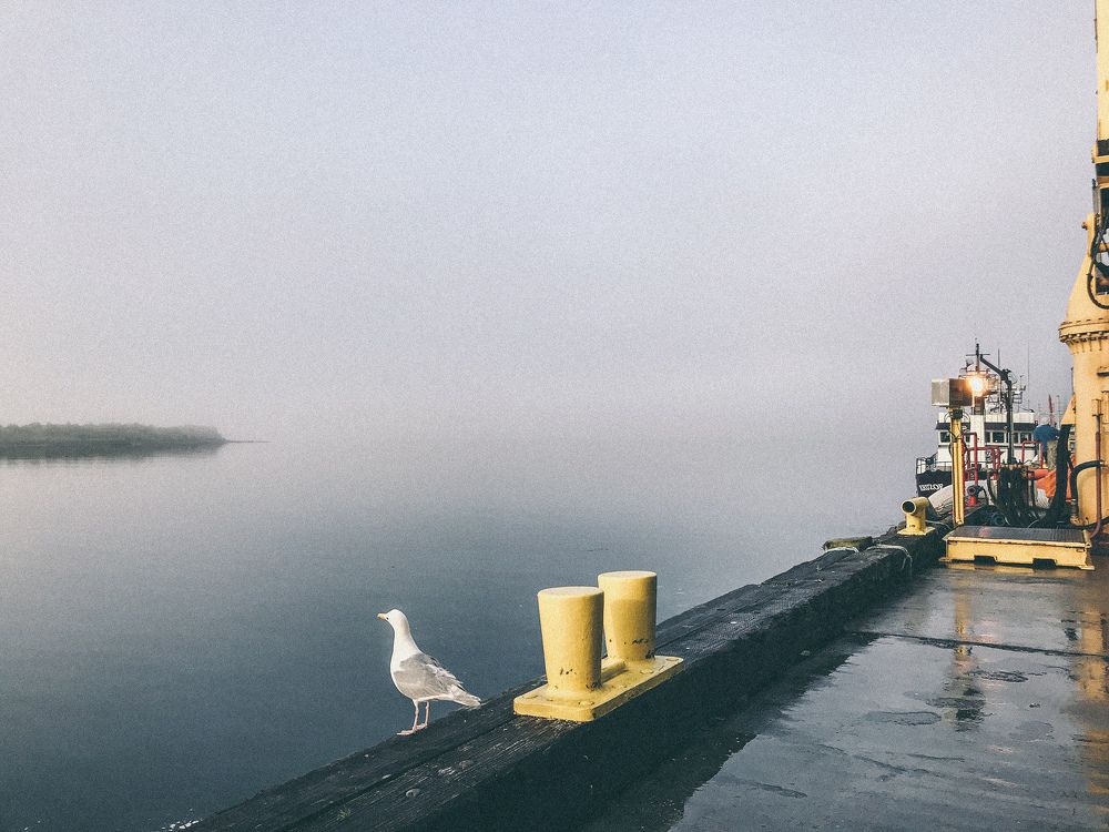 Photograph by Сергей Селюченко