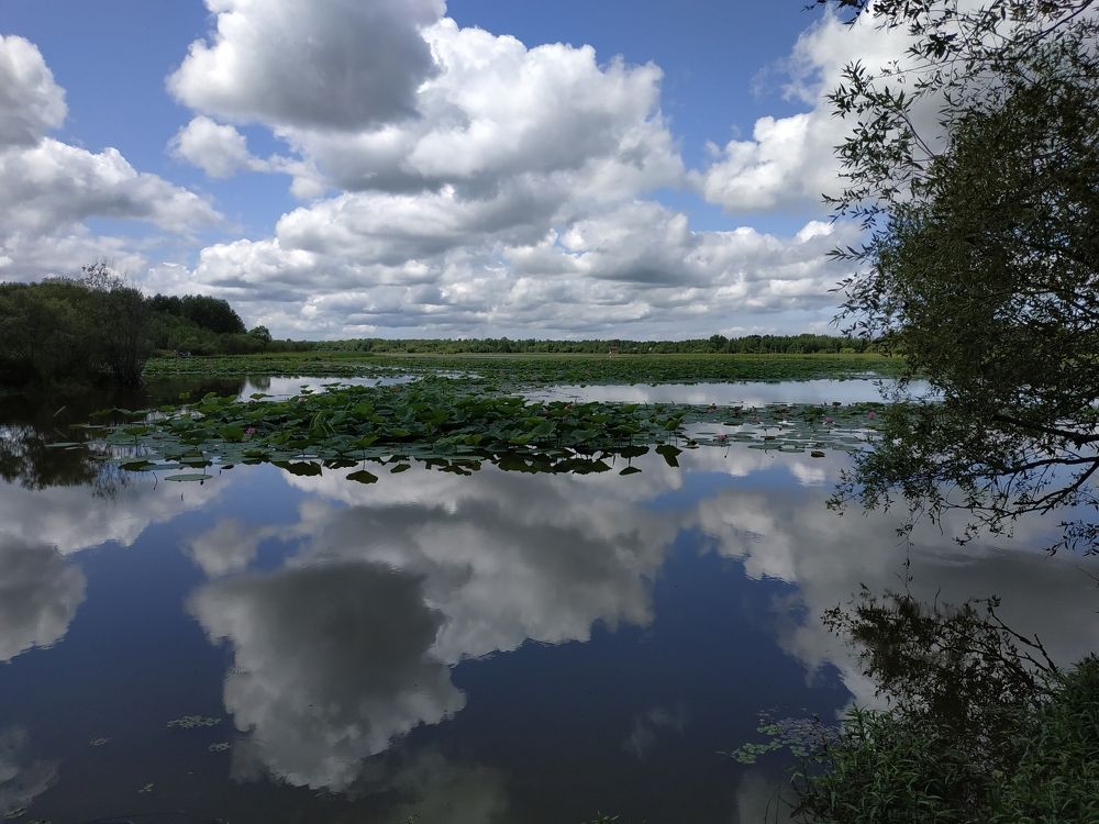 Фотография автора Ирина