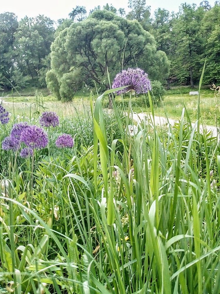 Photograph by Irina Mihailovskaya