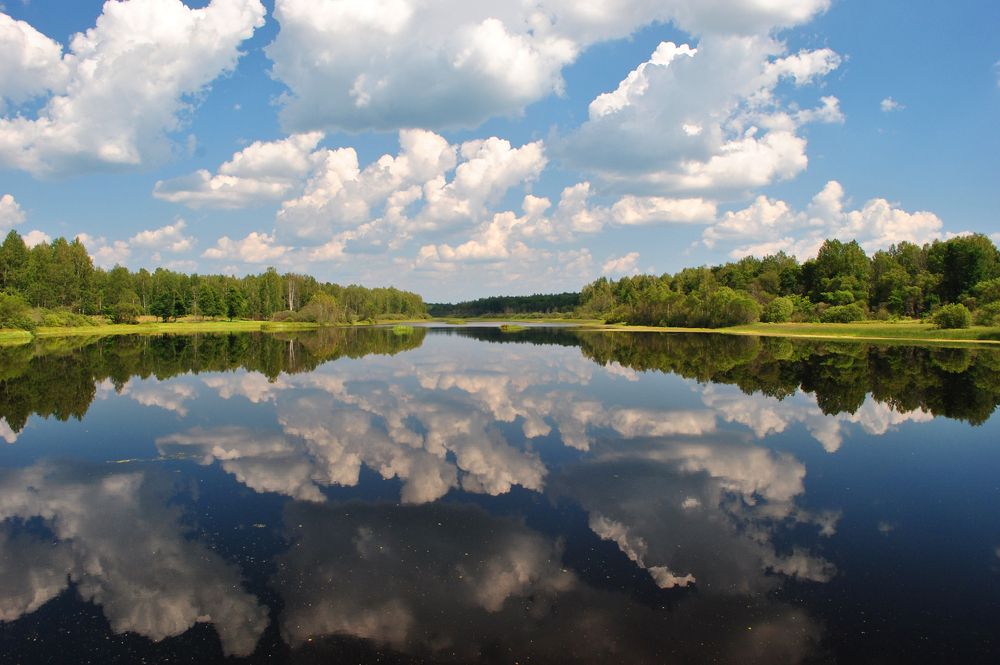 Photograph by Алексей