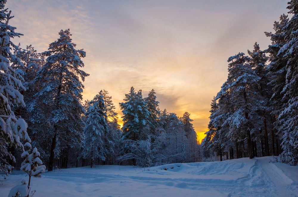 Photograph by Артём Шестаков