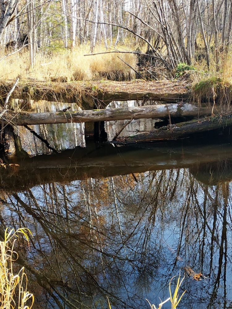 Фотография автора Ирина