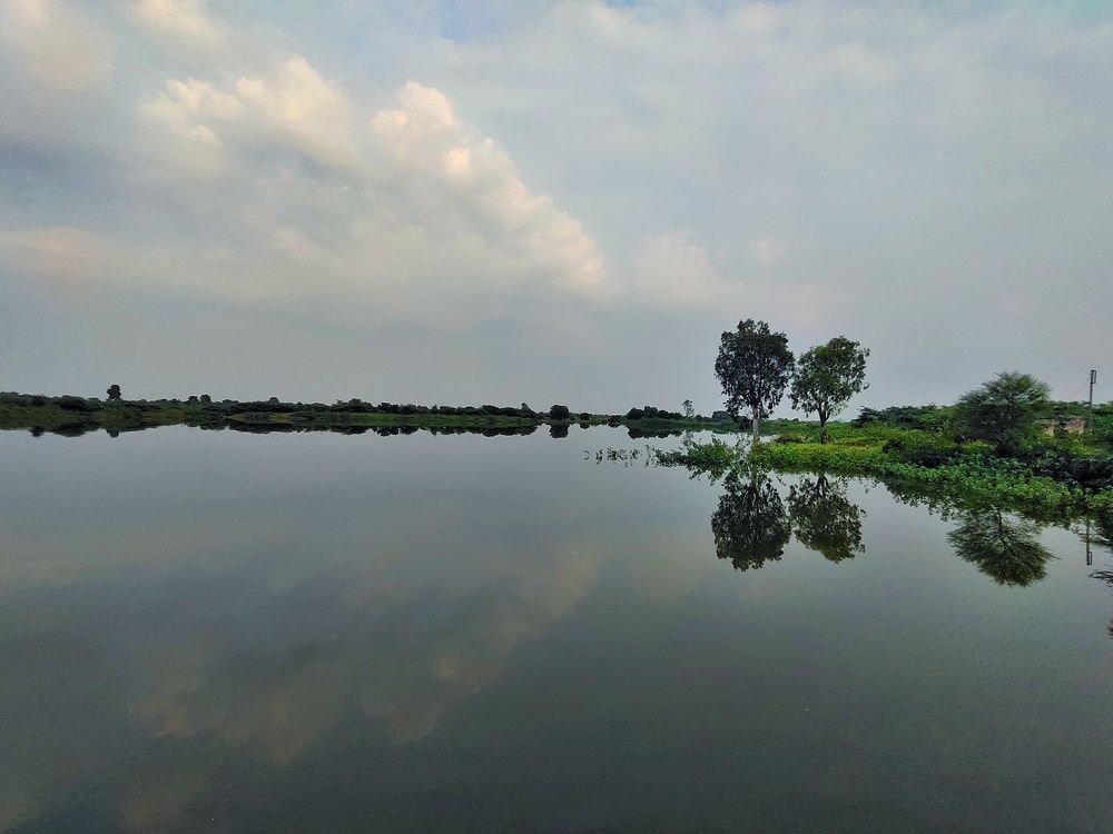 Photo #6864347