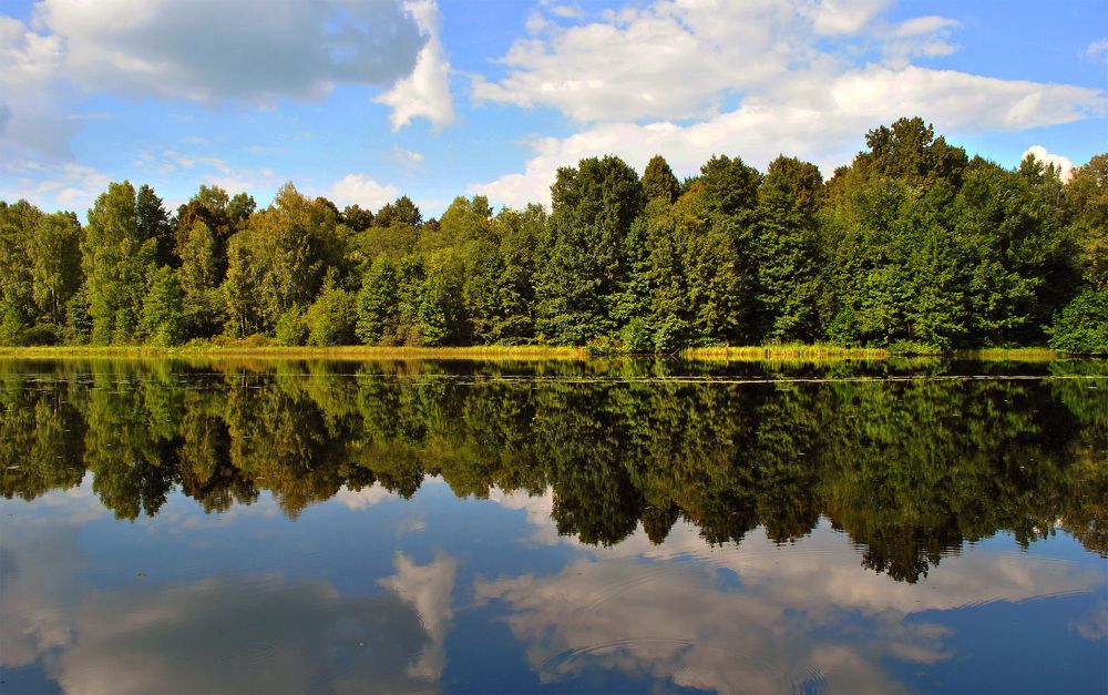 Photograph by Алексей