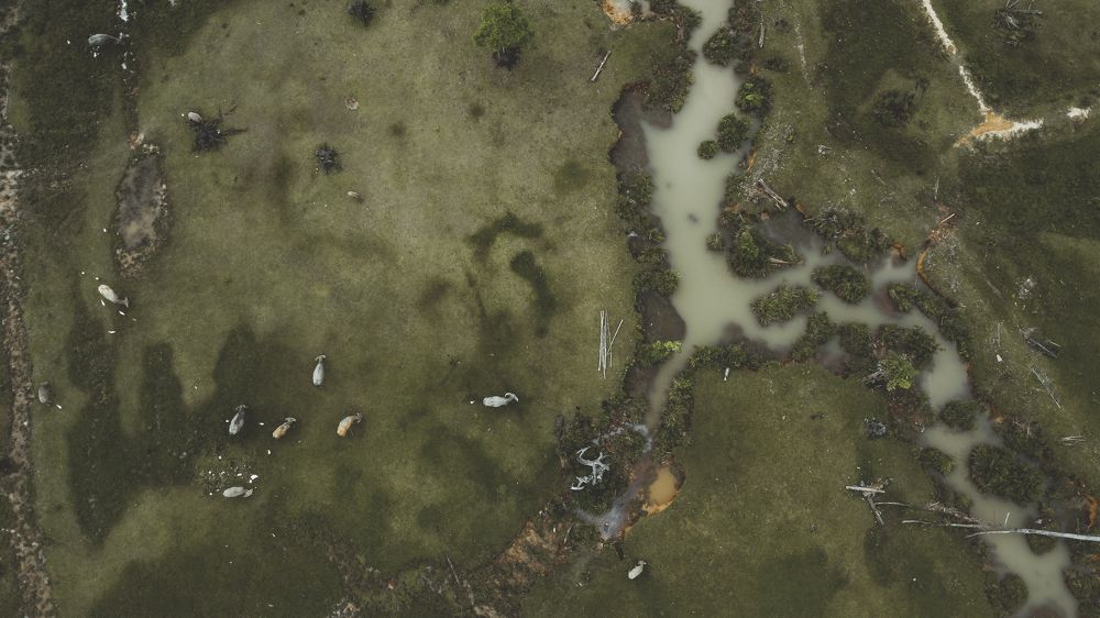 Фотография автора Anil Prabhakar