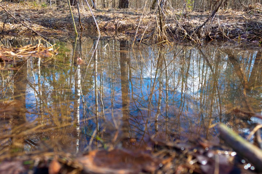 Photograph by Ольга Абрамова