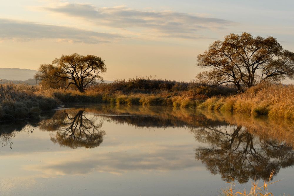 Photograph by Олег Волков