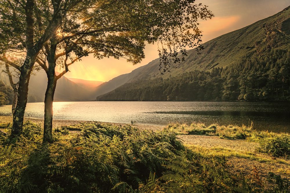 Photograph by Alexander