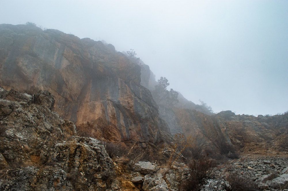 Photograph by Ruslan Ruslan