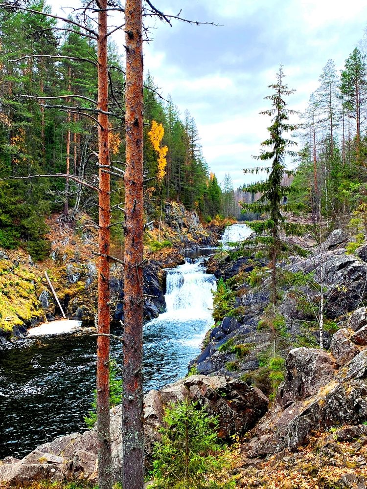 Photograph by Александр Мещеряков