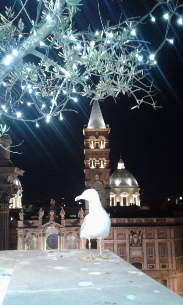Photo #6864603