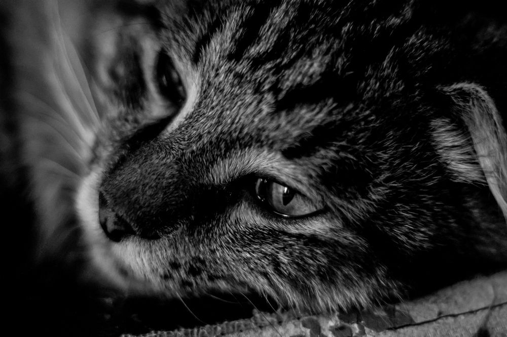 Фотография автора Anyutkin