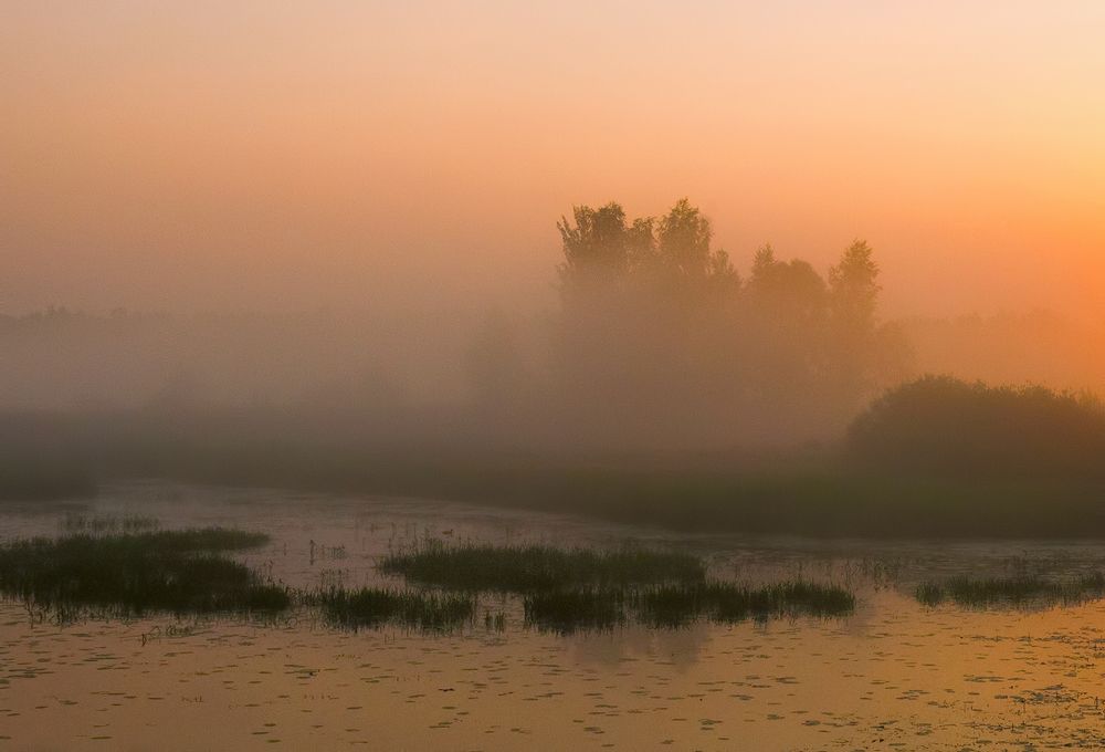 Photograph by Елена Потемина