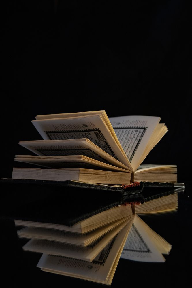 Фотография автора Татьяна Хуссейн