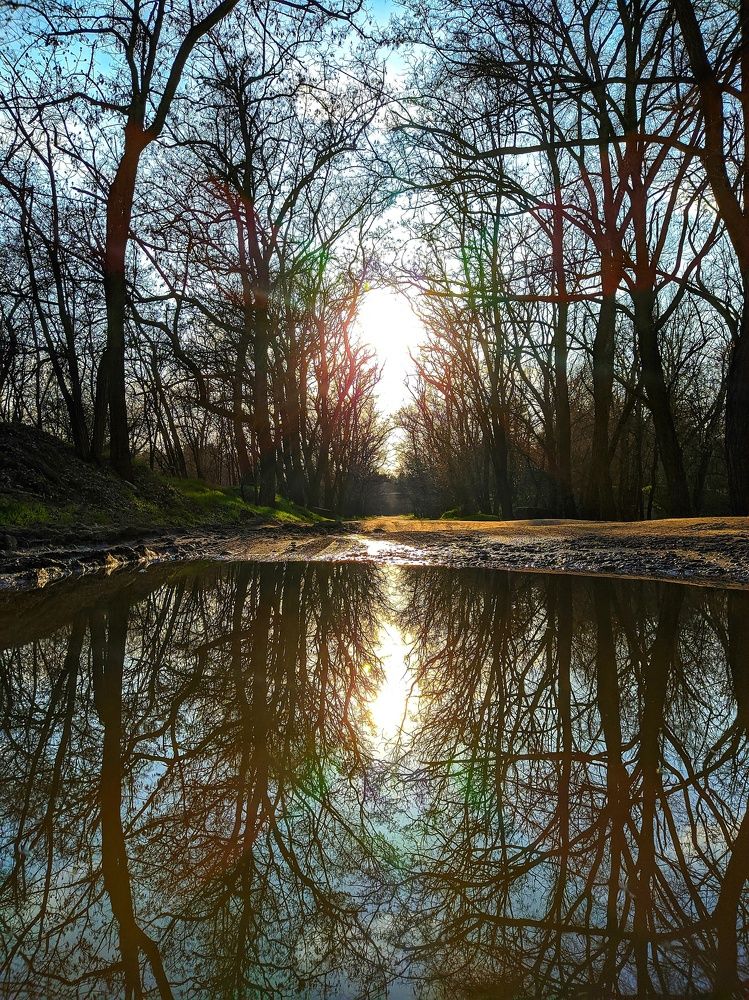 Фотография автора Наталья Синицына