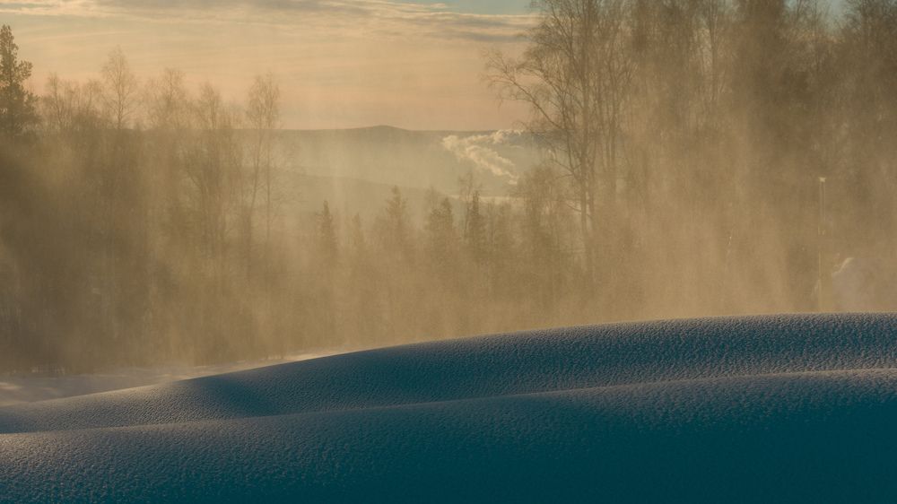 Photograph by Олег Бережных