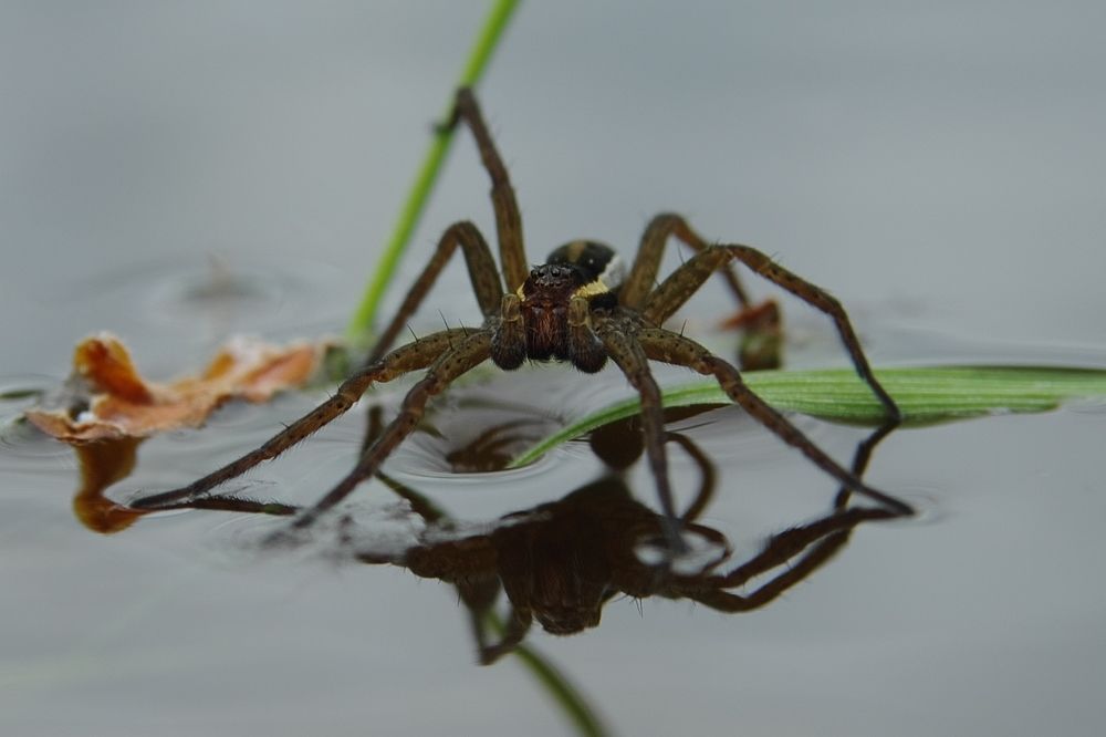 Photograph by Alexandr Bushmelev