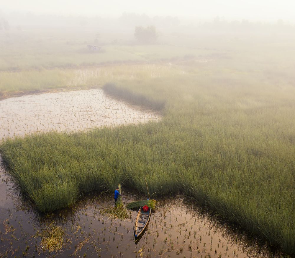Photograph by PHAN MINH MINH TAM
