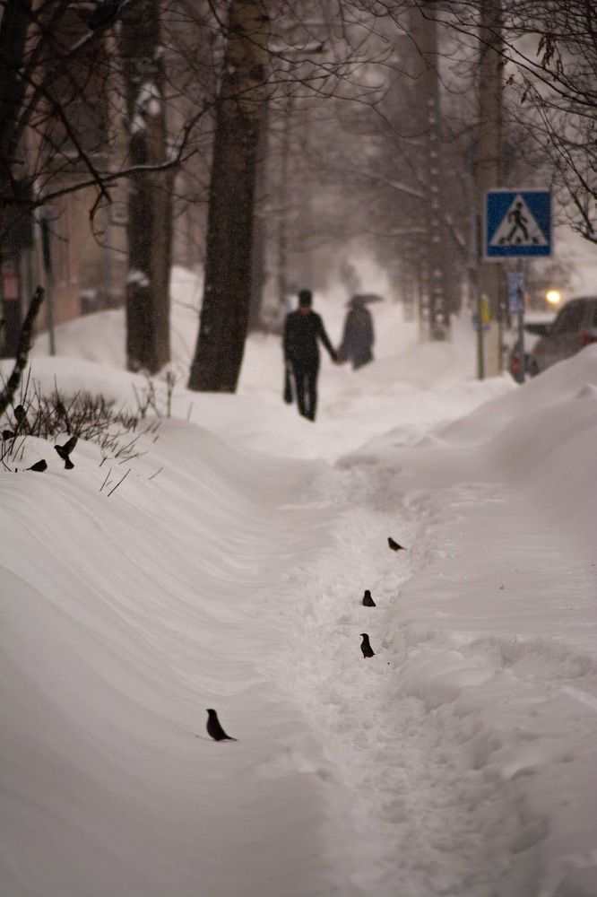 Зимний город.