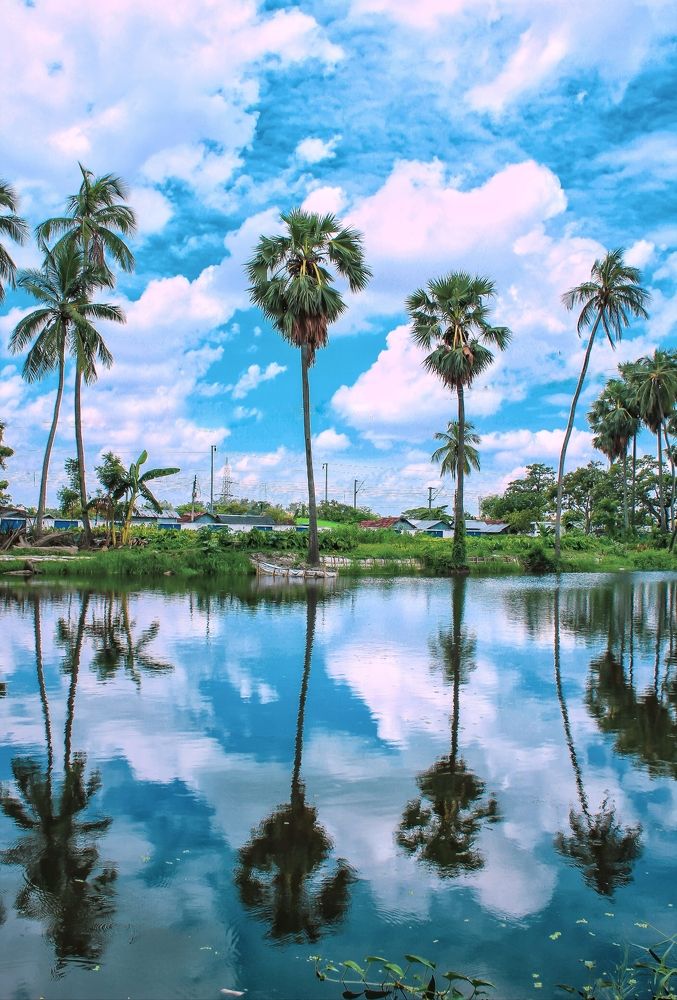 The beauty of nature