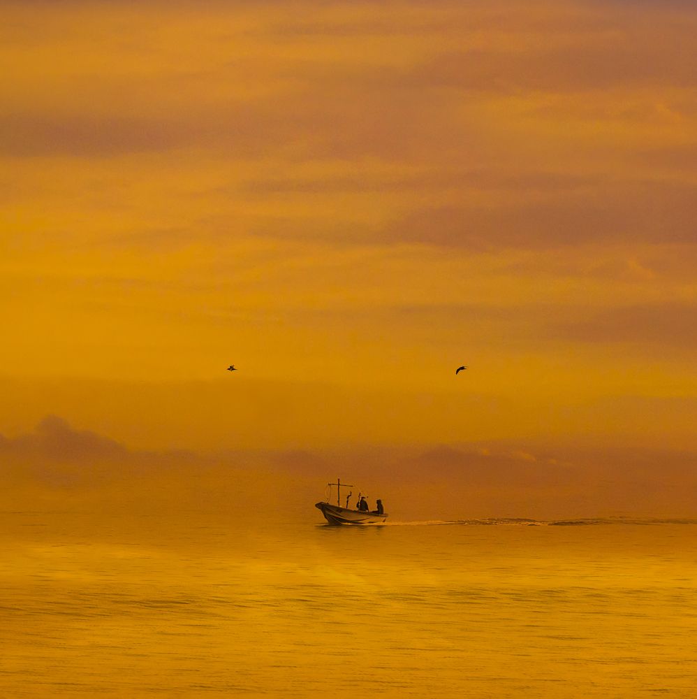 Photograph by Mahmoodreza Noraei