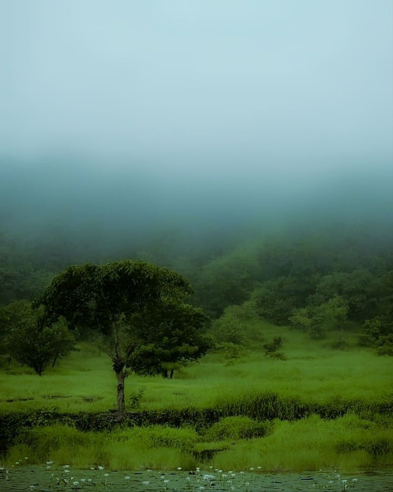 Photograph by Prathamesh Bote