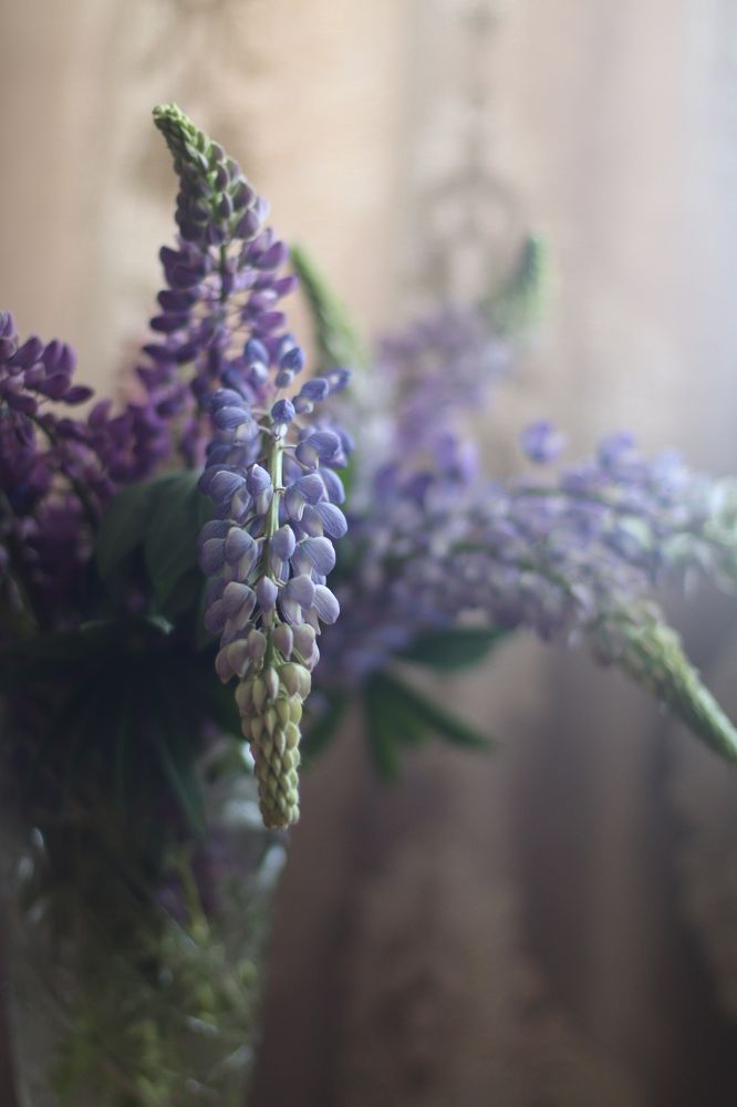 Photograph by Наталья Федорова