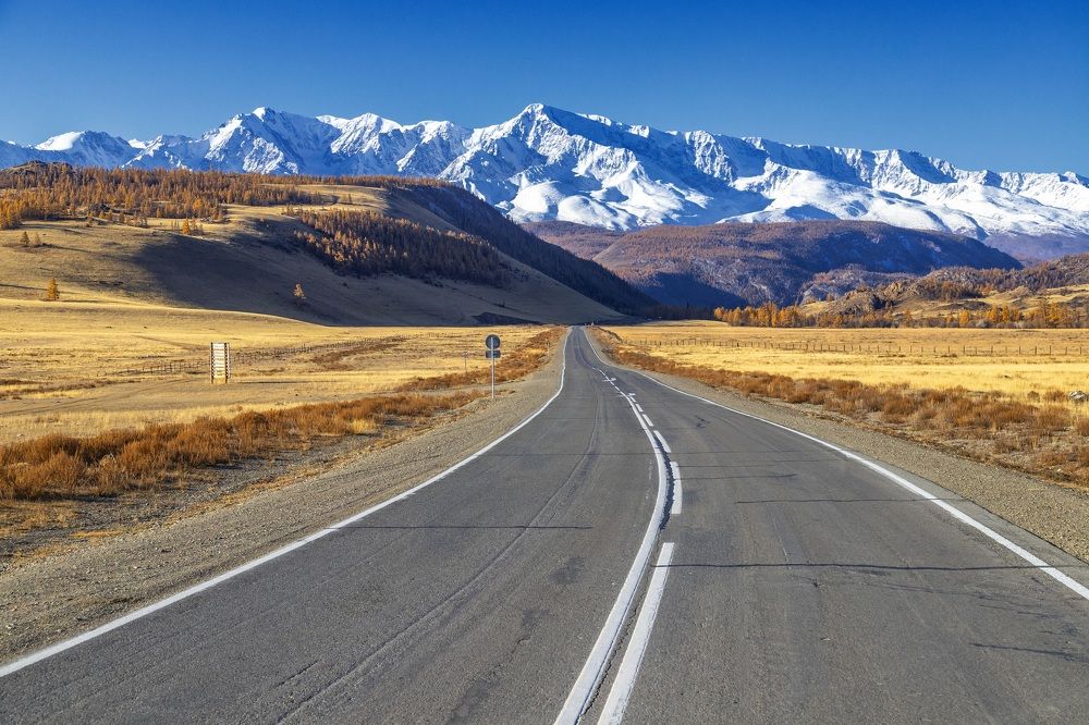 Дорожные истории