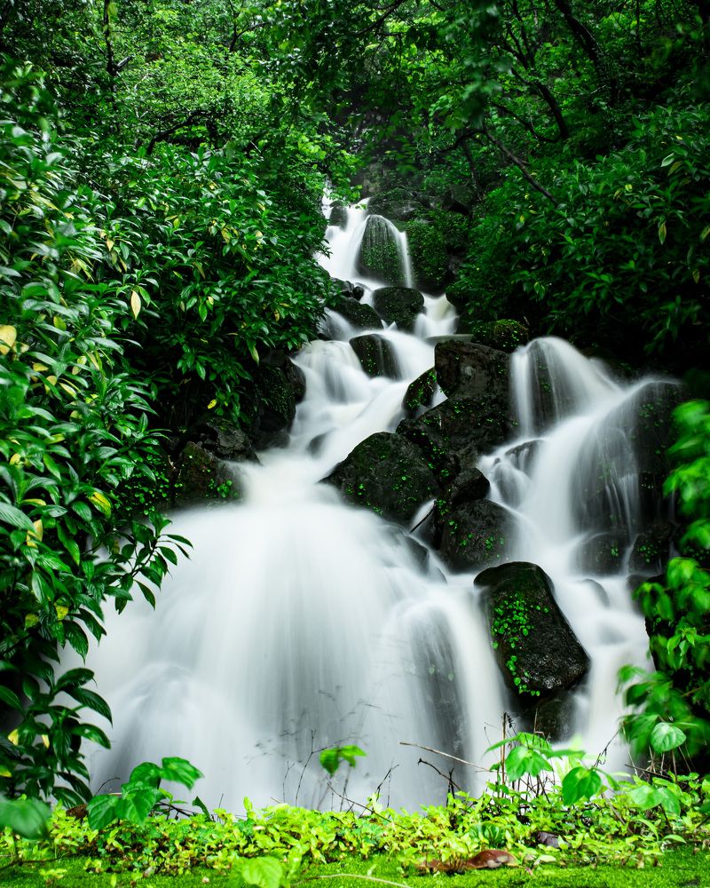 Фотография автора rohan sule