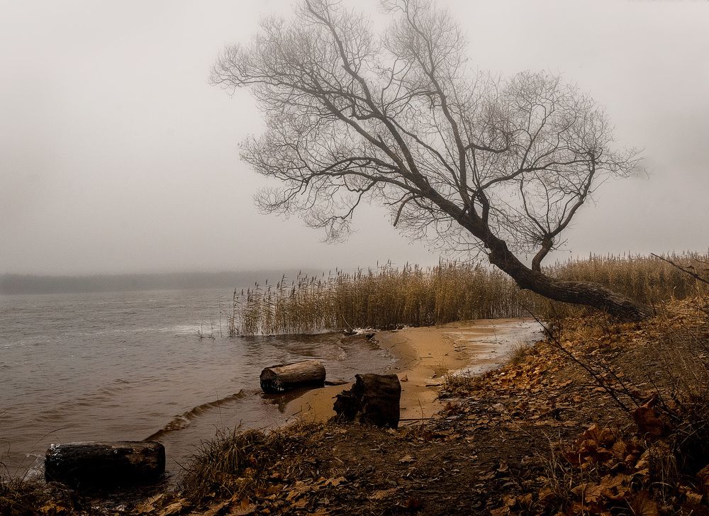 Photograph by Дементьев Владимир