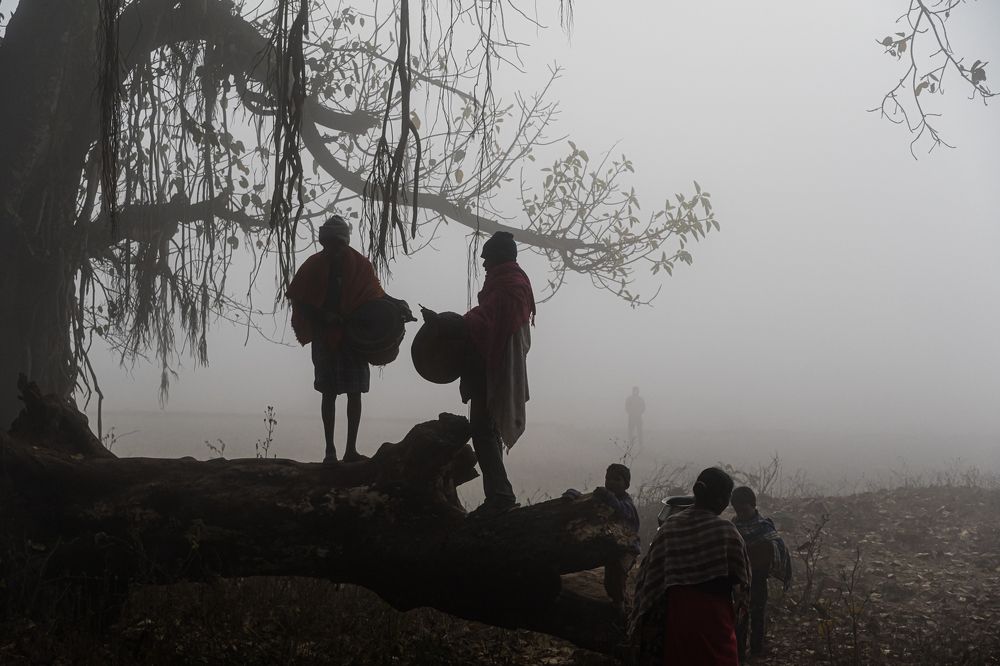 Photograph by Basavaraj M