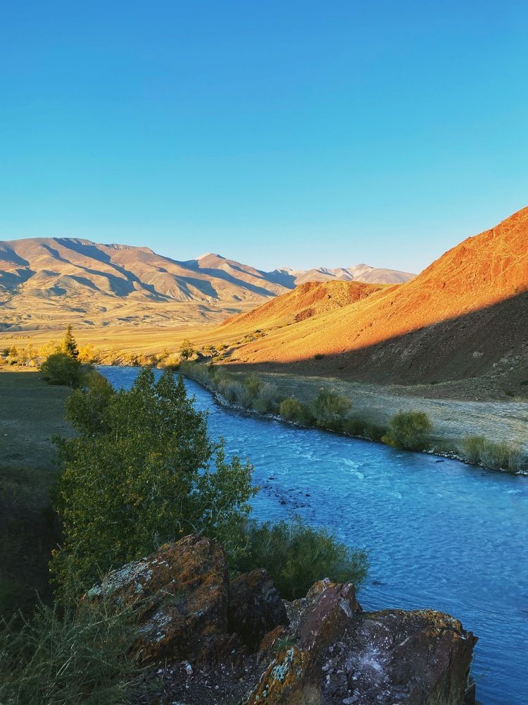 Photograph by Алла Пономарева