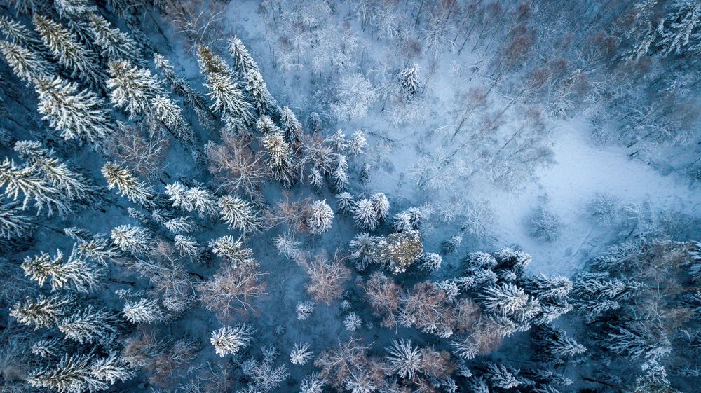 Зимние великолепие