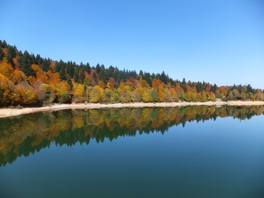 Photograph by Lasha Gegechkori
