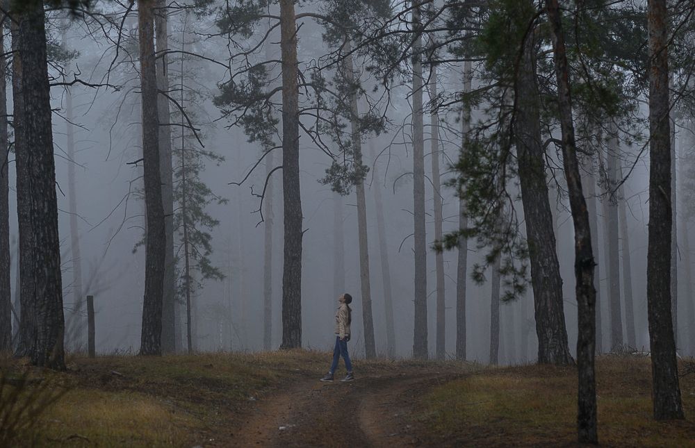 Туманный день