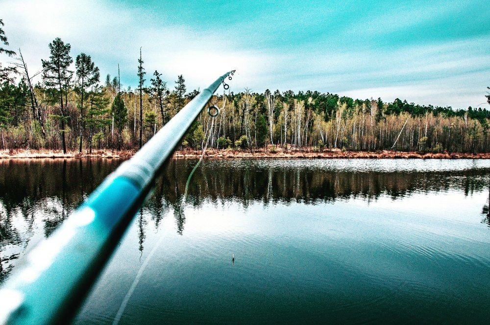 Photograph by Алексей Егоров