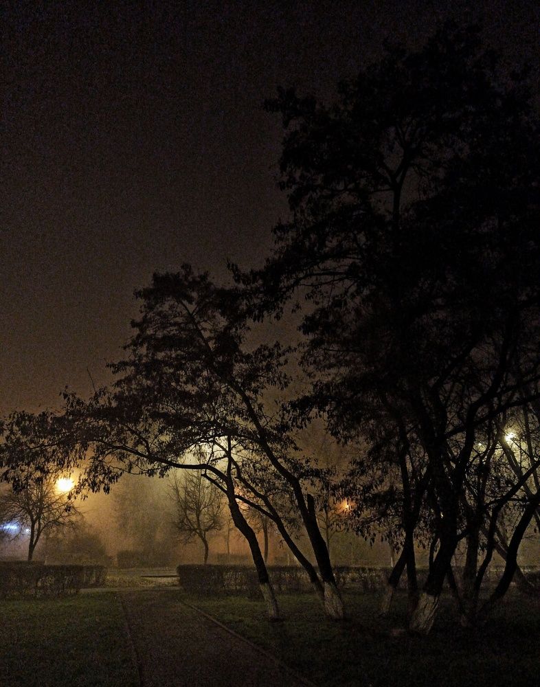 Photograph by Олеся Зеленщикова