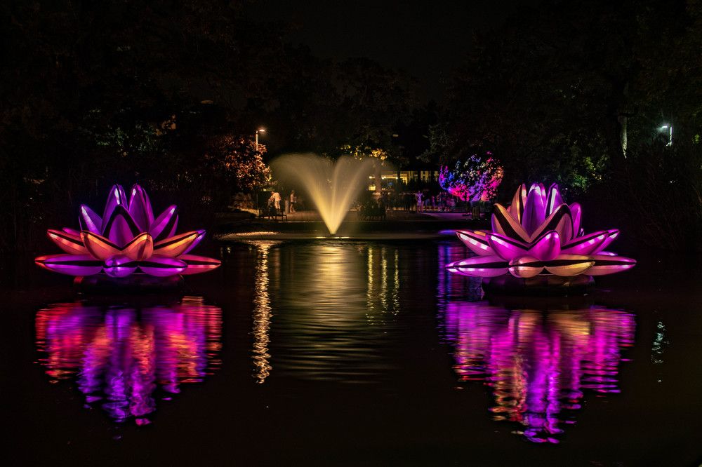 Photograph by Zsuzsa Décsi