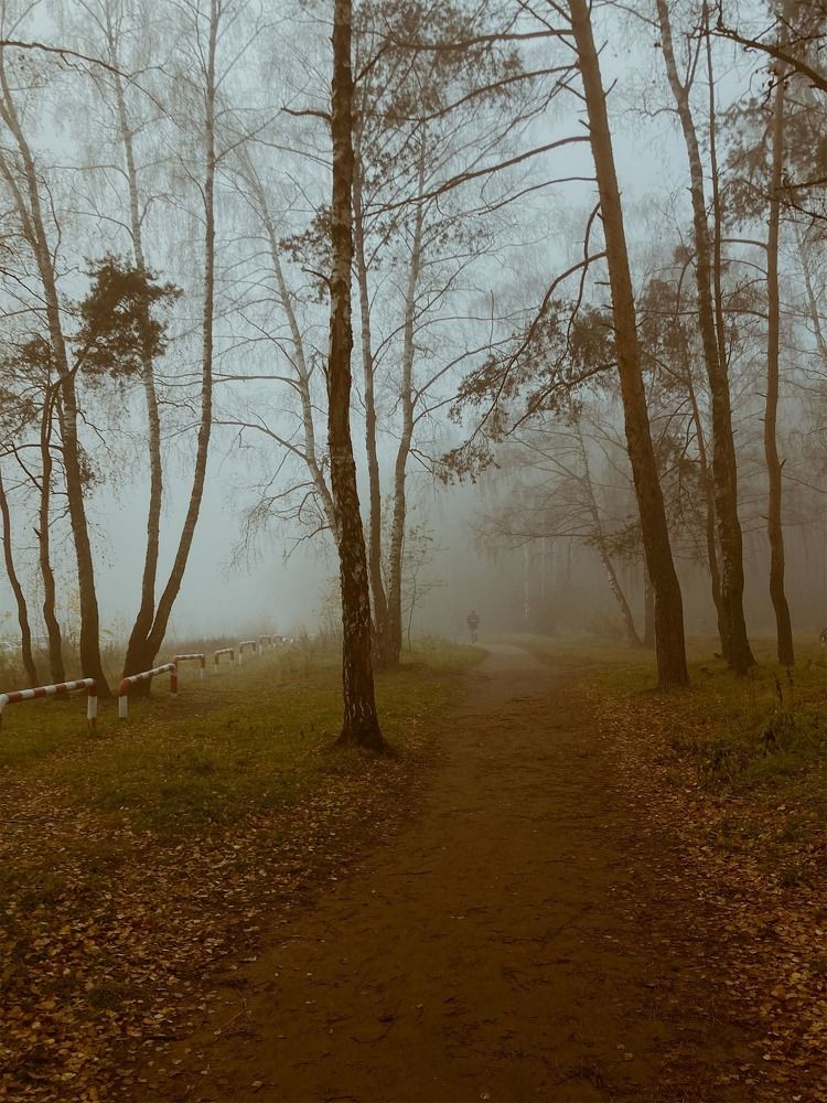 Фотография автора Anyutkin