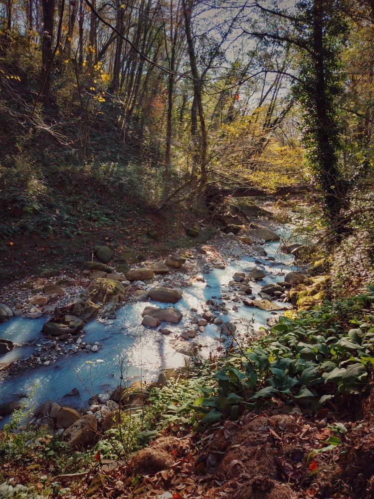 Photograph by Илья Игнашкин