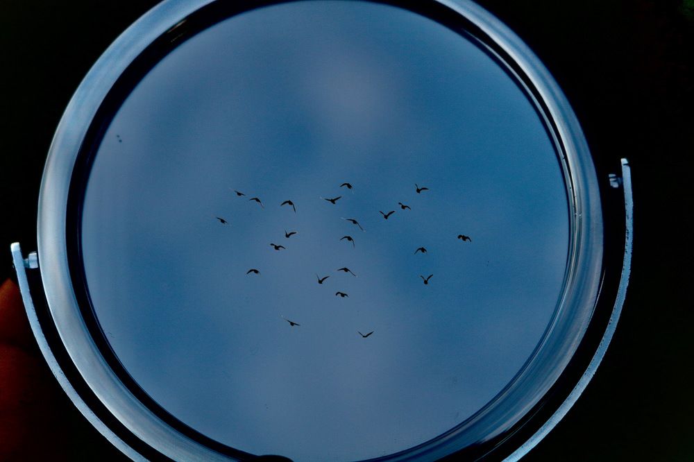 Photograph by Deasy Junita Dhani Hidayana