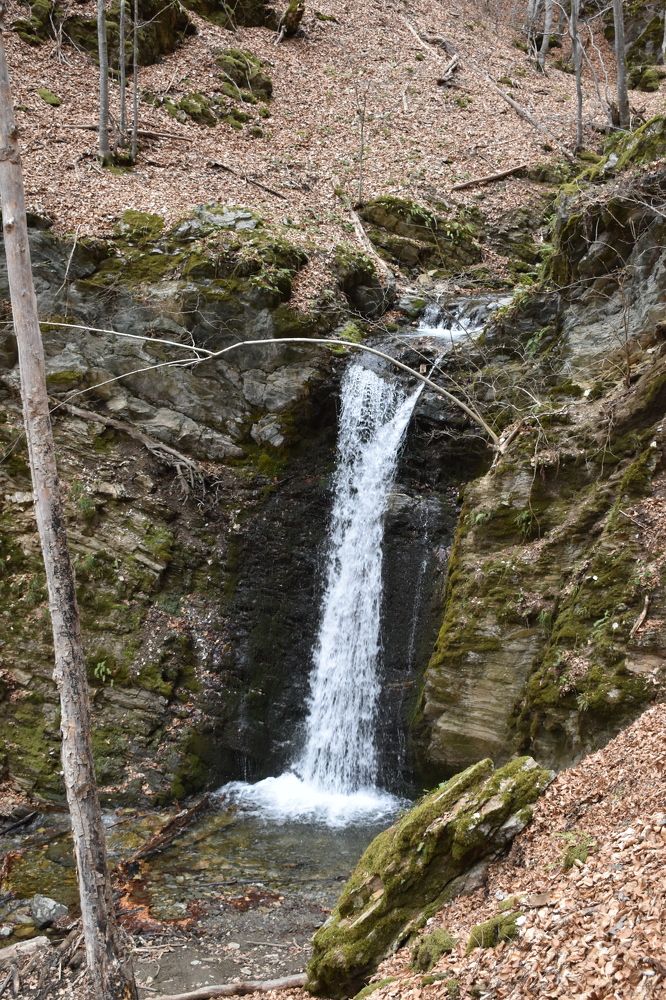 Photograph by Natasha Latinovska