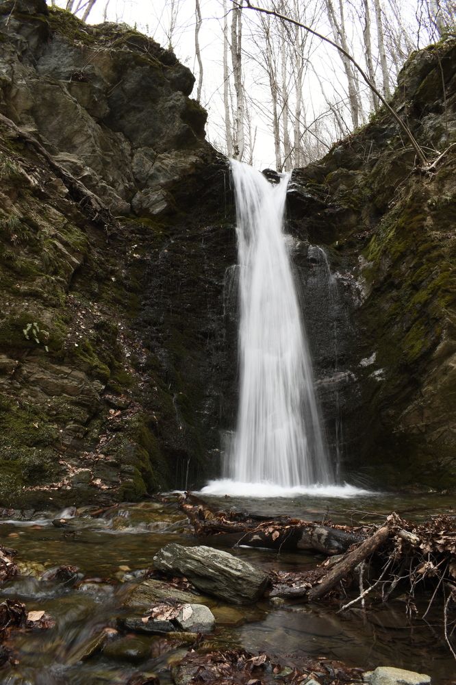 Photograph by Natasha Latinovska