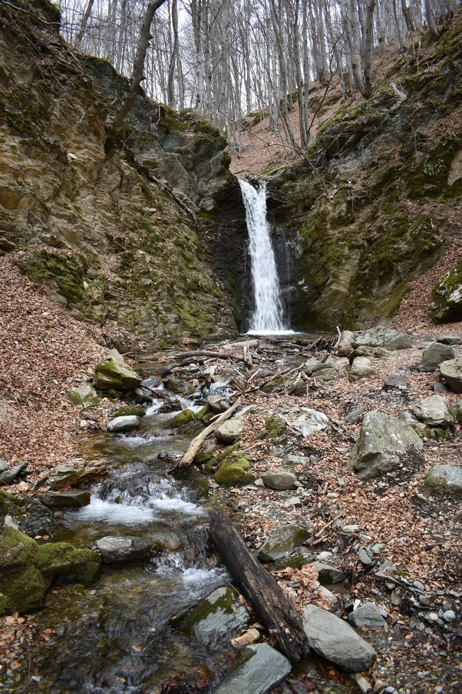 Photograph by Natasha Latinovska