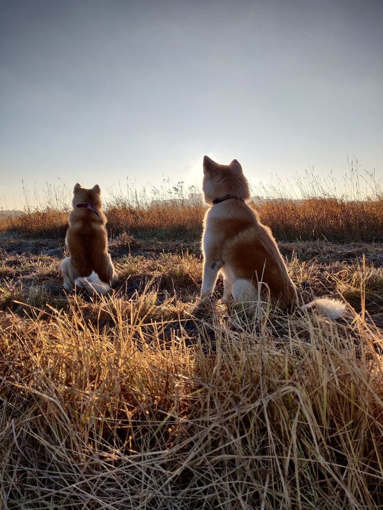 Photograph by Наталья Корнеева