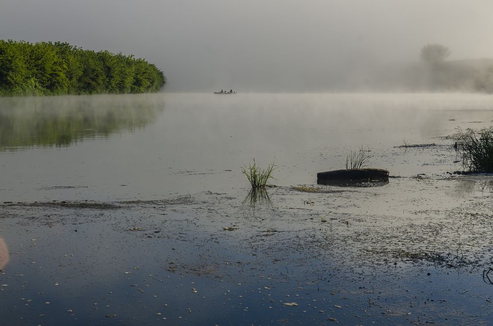 Photograph by Александр Щербаков