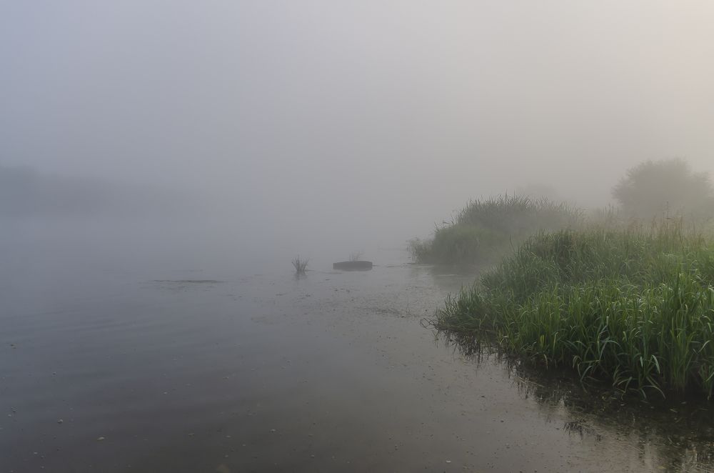 Photograph by Александр Щербаков