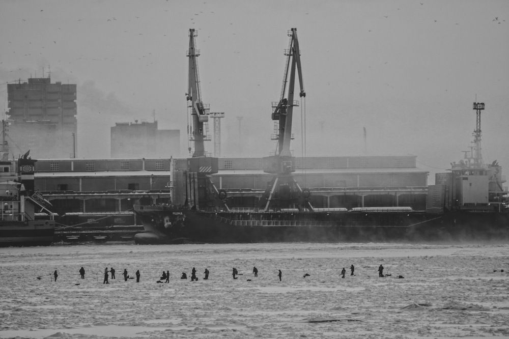 Photograph by Дмитрий Забуга